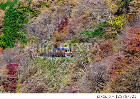 わたらせ渓谷鐵道 紅葉のわたらせ渓谷を走る列車(沢入付近) わたらせ渓谷鐵道 紅葉のわたらせ渓谷を走る列車(沢入付近) 125767323