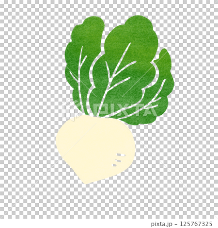 郵票風格的蘿蔔插圖 郵票風格的蘿蔔插圖 125767325