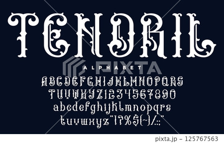 Victorian font, antique medieval typeface, vintage script type, elegant alphabet with gothic flourishes vector typography set. Vintage medieval victorian classic serif font english alphabet with curls 125767563