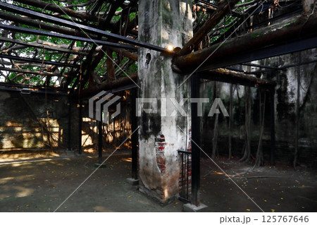 愛し台湾(旧イギリス貿易会社の倉庫、日本統治時代は日本製塩工場。台南市「安平樹屋」) 愛し台湾(旧イギリス貿易会社の倉庫、日本統治時代は日本製塩工場。台南市「安平樹屋」) 125767646