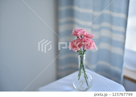 花瓶の花 カーネーション 花瓶の花 カーネーション 125767799