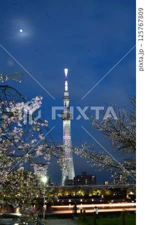 月夜の春 月夜の春 125767809