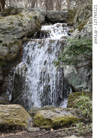 日本庭園の滝 日本庭園の滝 125768121