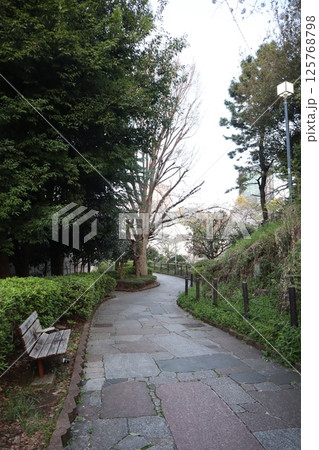 新緑につつまれる西郷山公園の園路(東京都目黒区) 新緑につつまれる西郷山公園の園路(東京都目黒区) 125768798