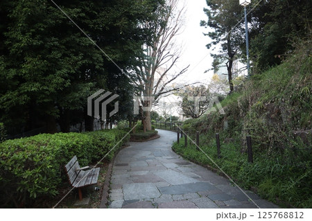 新緑につつまれる西郷山公園の園路(東京都目黒区) 新緑につつまれる西郷山公園の園路(東京都目黒区) 125768812