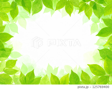 新緑　若葉　コピースペース 125769400