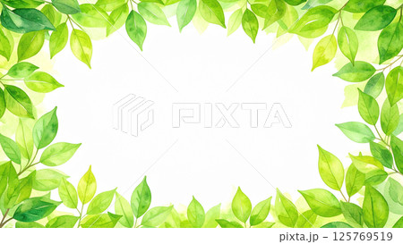 新緑　若葉　コピースペース 125769519