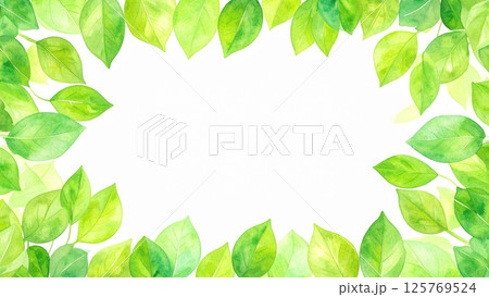 新緑　若葉　コピースペース 125769524