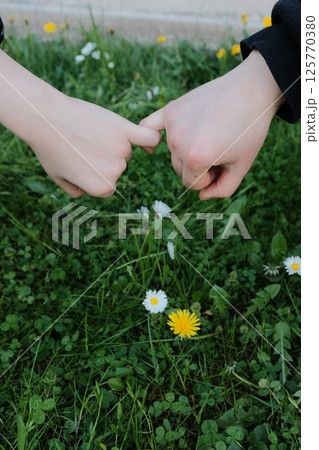 close up of hands touching wildflowers and grass on green lawn during springtime afternoon. High quality photo 125770380
