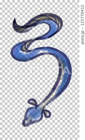 鰻魚插圖（水彩畫） 125770412