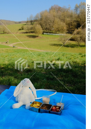 white plush rabbit toy sitting on blue picnic mat with lunchbox bento meal in grassy countryside during spring day. High quality photo 125770447