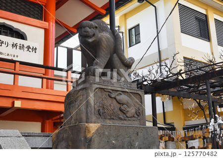 善國寺 石虎(東京都新宿区神楽坂) 善國寺 石虎(東京都新宿区神楽坂) 125770482