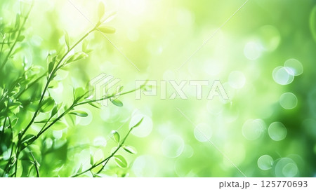 新緑と光のイメージ 新緑と光のイメージ 125770693