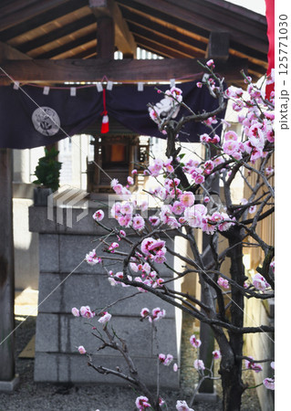 善國寺　出世稲荷　（東京都新宿区神楽坂） 125771030