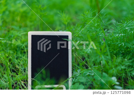 Blank Black billboard against green field garden fresh green herb dill. Empty mockup template Blackboard label at farm land. Copy space banner for your text. Agricultural landscape Blank Black billboard against green field garden fresh green herb dill. Empty mockup template Blackboard label at farm land. Copy space banner for your text. Agricultural landscape 125771098