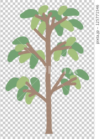 種植插圖 125771546