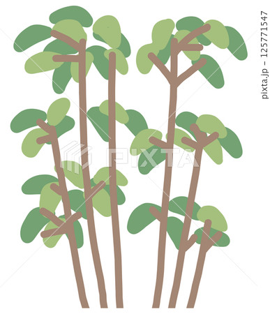 植栽のイラスト 125771547