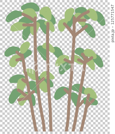 植栽のイラスト 125771547
