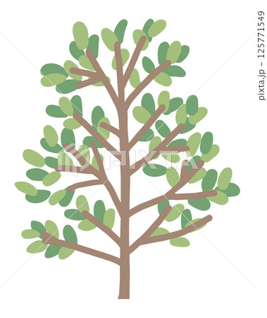 植栽のイラスト 125771549