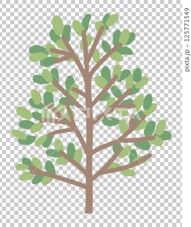 植栽のイラスト 125771549