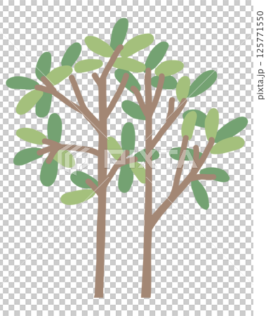 植栽のイラスト 125771550