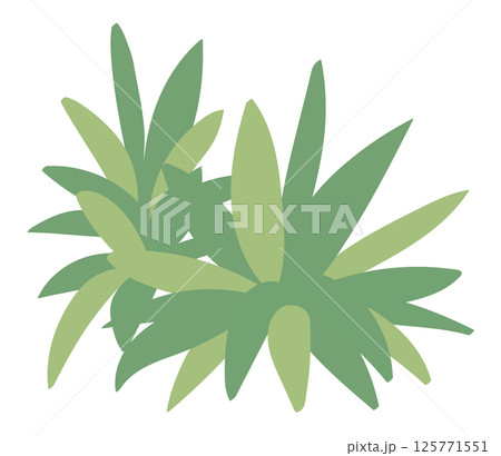 植栽のイラスト 125771551