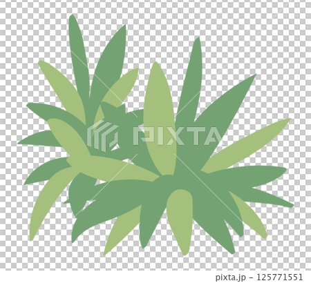 植栽のイラスト 125771551