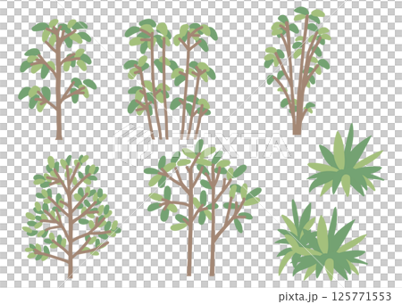 種植插圖集 125771553