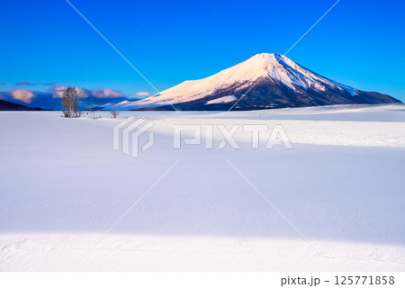 厳冬期の北海道の雪景色と富士山合成 厳冬期の北海道の雪景色と富士山合成 125771858