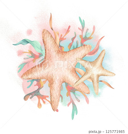 Starfishes with algae composition on pink mint watercolor spot. Hand drawn illustration isolated from background. Seaweed, coral in cartoon style, animated film for children's sea marine theme design Starfishes with algae composition on pink mint watercolor spot. Hand drawn illustration isolated from background. Seaweed, coral in cartoon style, animated film for children's sea marine theme design 125771985