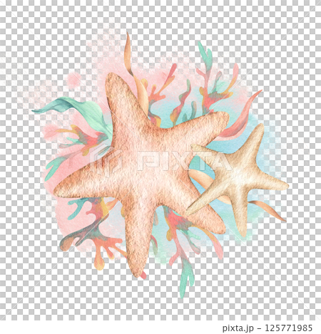 Starfishes with algae composition on pink mint watercolor spot. Hand drawn illustration isolated from background. Seaweed, coral in cartoon style, animated film for children's sea marine theme design Starfishes with algae composition on pink mint watercolor spot. Hand drawn illustration isolated from background. Seaweed, coral in cartoon style, animated film for children's sea marine theme design 125771985