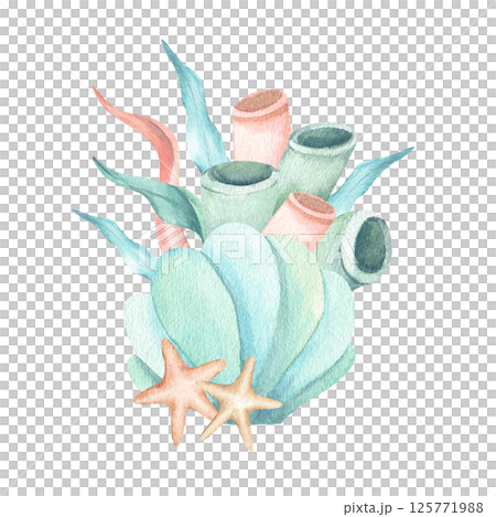 Seashell with algae, starfishes, corals composition. Hand drawn watercolor illustration isolated from background. Underwater seaweed for kids sea design, stationary, typography, aquarium theme poster 125771988