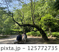 木に下に座っている人 125772735