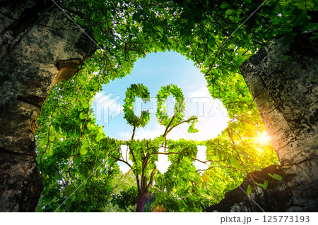 Concept depicting the issue of carbon dioxide emissions and its impact on nature in the form shape of a co2 symbol located in a lush forest. Reduce CO2 emission concept. 125773193