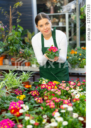 Woman seller holding common primrose in flower shop Woman seller holding common primrose in flower shop 125773283