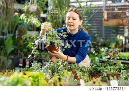 Woman buying common ivy at flower shop Woman buying common ivy at flower shop 125773284