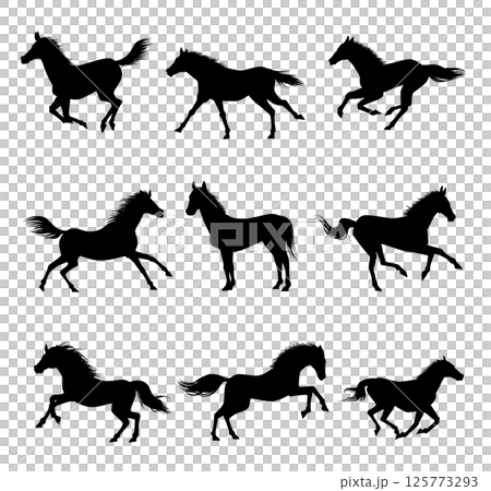 馬剪影 125773293
