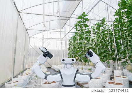 Agricultural industry with artificial intelligence robots concept 125774451