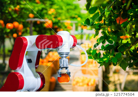 Agricultural industry with artificial intelligence robots concept 125774504
