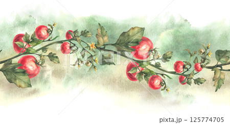 Tomato plant seamless border with red fruit, leaves and yellow flowers on watercolor spotted splashes green background. Vegetables crop realistic pattern. Painted isolated illustration for food label 125774705