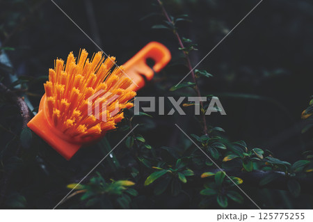 Orange brush for cleaning in green evening garden Orange brush for cleaning in green evening garden 125775255