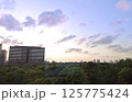夕日に染まるビルと森 125775424