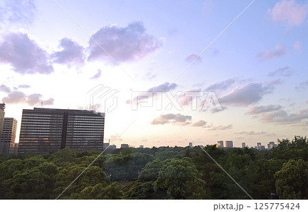 夕日に染まるビルと森 125775424