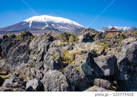 残雪の浅間山と鬼押出し園の奇岩 125775428