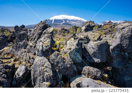 残雪の浅間山と鬼押出し園の奇岩 125775435