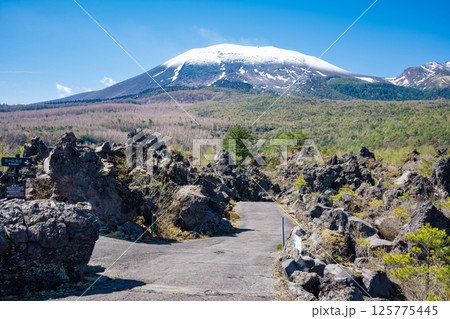 残雪の浅間山と鬼押出し園の奇岩 125775445