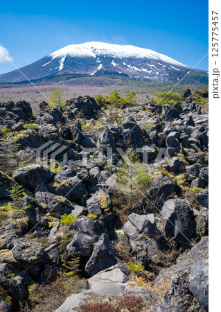 残雪の浅間山と鬼押出し園の奇岩 125775457
