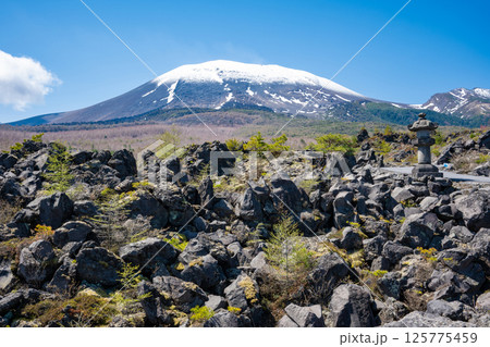 残雪の浅間山と鬼押出し園の奇岩 125775459