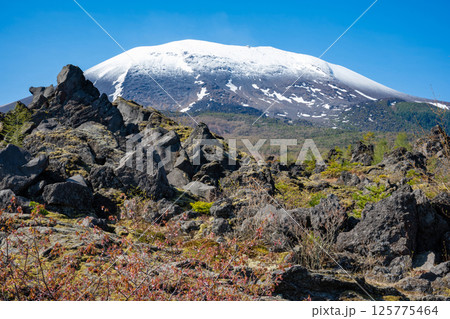 残雪の浅間山と鬼押出し園の奇岩 残雪の浅間山と鬼押出し園の奇岩 125775464