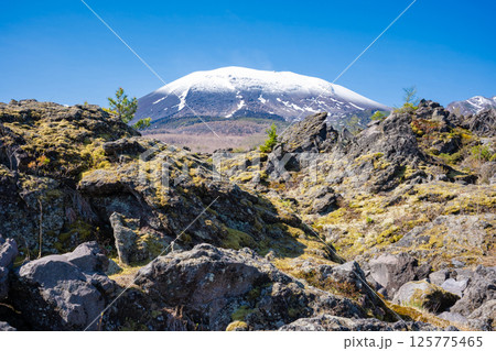 残雪の浅間山と鬼押出し園の奇岩 残雪の浅間山と鬼押出し園の奇岩 125775465